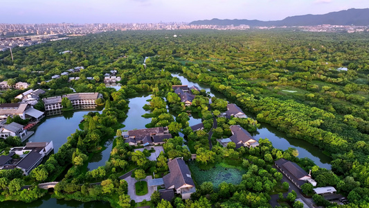 夏天黄昏的杭州西溪湿地美景视频