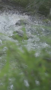 瀑布野生瀑布视频