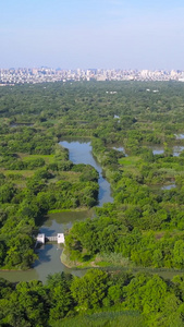 杭州5A风景区西溪湿地农耕文化村航拍视频