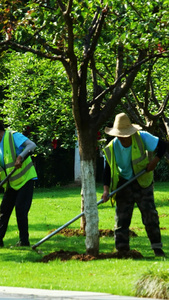 公园园丁植树种树除草园林种植植树节视频