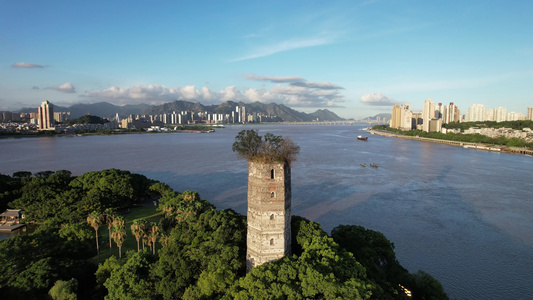 浙江温州江心屿4A景区航拍 视频