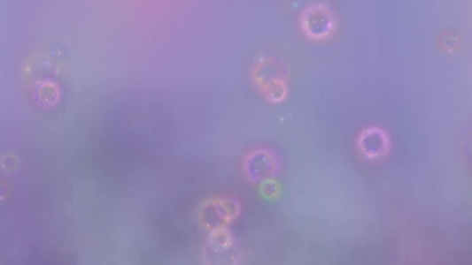 带有bokeh的抽象紫质背景视频