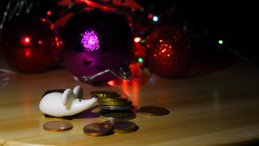 圣诞老鼠和钱视频
