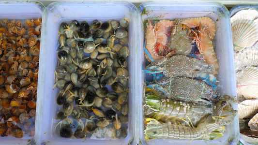 街头市场上的泰国新鲜海鲜海鲜视频