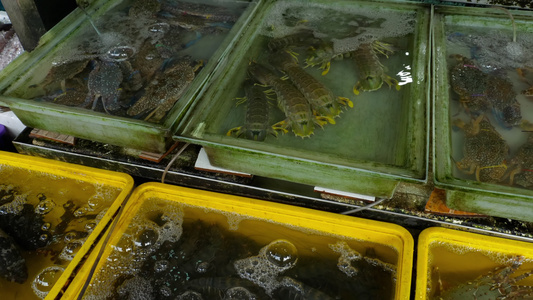 街头市场上的泰国新鲜海鲜海鲜视频