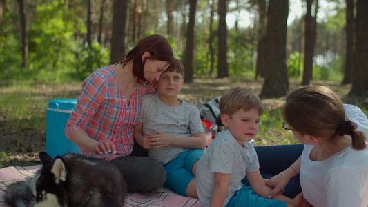 夏季家庭露营度假期间两个妈妈两个儿子和西伯利亚哈士奇视频