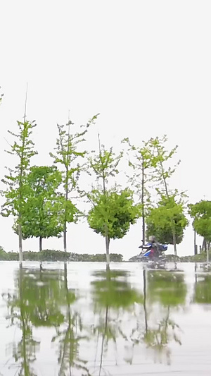 大雨街道夏季大雨55秒视频