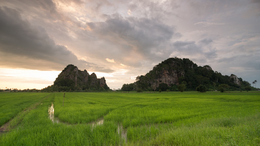 在Kodiang的稻田附近的石灰岩山视频