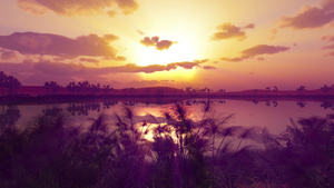 非洲地区绿洲的日落21秒视频