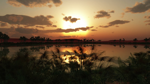非洲地区绿洲的日落21秒视频