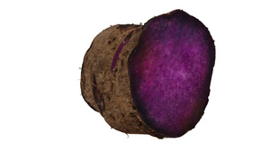 紫薯13秒视频
