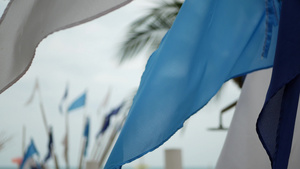 小三角蓝旗在热带海滩多云的天气中飘动11秒视频