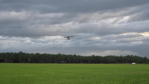 农业无人驾驶飞机被用于喷洒农药11秒视频