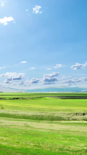 内蒙古呼伦贝尔大草原自然风光15秒视频