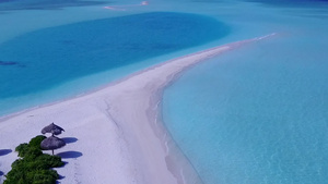 通过蓝海和白沙背景观察海滩野生生物的宁静海面风景11秒视频