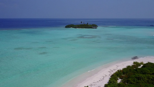 蓝色环礁湖和清洁沙地背景的豪华海岸海滩野生生物空中视频