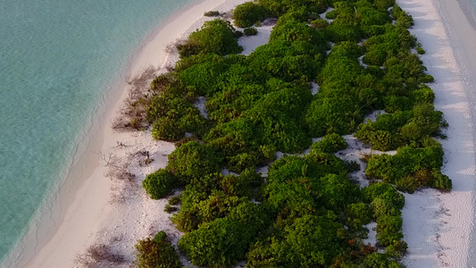 蓝绿海和白沙背景的海滨野生生物的海洋观视图样视频