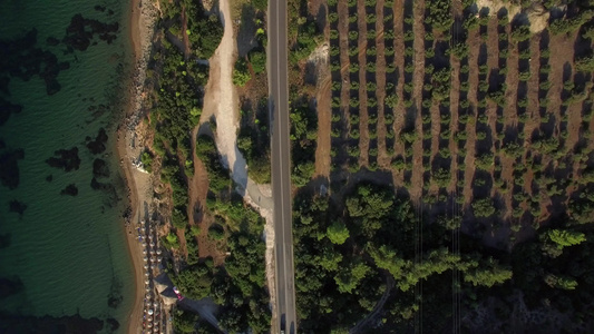 海上海岸的空中射击绿树和沿河岸黑泥滩沿线的道路视频