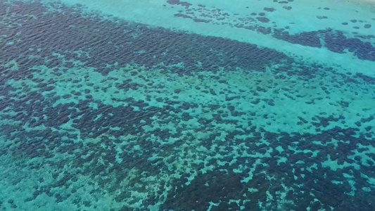 通过蓝海和浅沙背景放松海岸海滩野生生物的空中无人驾驶视频