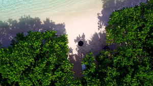 以浅水和浅沙底浅水为生的外来海湾海滩生活方式的无人驾驶10秒视频