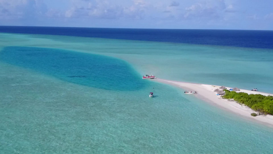 通过蓝海和清洁沙滩背景的蓝海对美丽的海滩野生动物进行视频