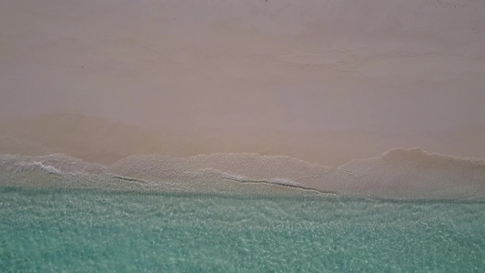 清水白沙背景下热带岛屿海滩野生动物的空中无人机旅游视频