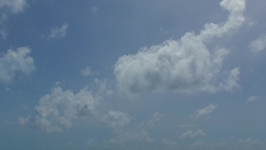 异国情调的海滨海滩野生动物的无人机海景由蓝海白沙背景视频