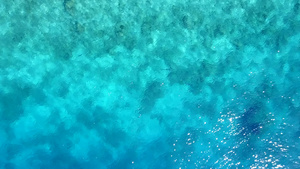 蓝环礁和白沙背景的蓝色环礁对热带海岸海滩野生生物的10秒视频