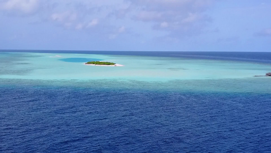 蓝水白沙背景下宁静海景海滩野生动物的无人机空中天空视频