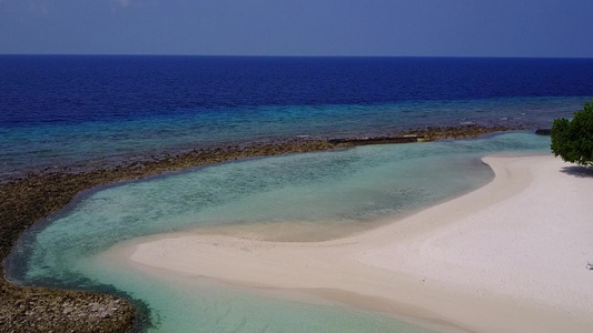 以清晰的环礁湖和明亮的沙滩背景为放松海岸海滩野生生物视频