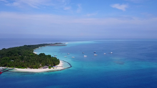 以海平面和白色沙滩背景观察海滩野生生物的海洋景象这些视频