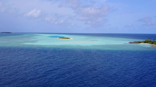 白沙背景浅海天堂海滨海滩野生动物的无人机空中性质视频