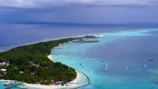 通过蓝环礁和白色沙子背景的蓝环礁对豪华海滨野生动物视频