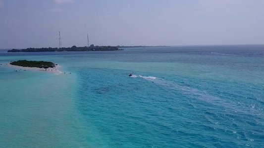 干净的沙质背景浅水区宁静度假海滩野生动物的空中海景视频