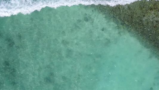 白沙背景蓝海天堂海滨海滩野生动物的空中景观旅行视频