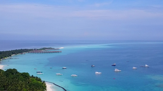 热带海滨海滩野生生物的风景由白沙背景的蓝色海平面形成视频