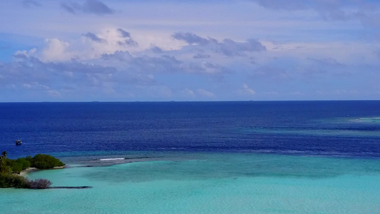 通过清晰的海洋和白色沙滩背景对宁静海岸海滩野生生物视频