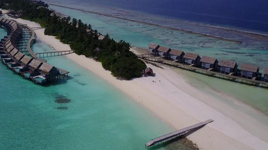 通过清晰的海洋和白色沙尘背景来放松旅游海滩野生生物视频