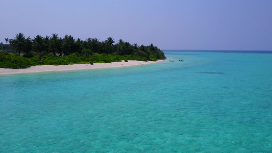 蓝海白沙背景热带海景海滩野生动物空中海景视频