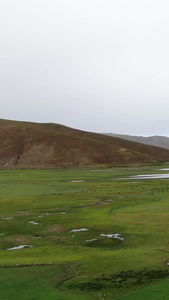 牧民放牧航拍视频西藏风光视频