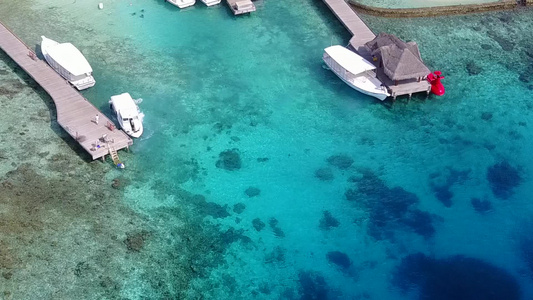 蓝海以清洁沙土背景放松度假胜地海滩野生生物的海洋风景视频