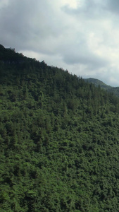 航拍湖北旅游景点恩施峡谷山峦叠嶂自然风光素材群山素材视频