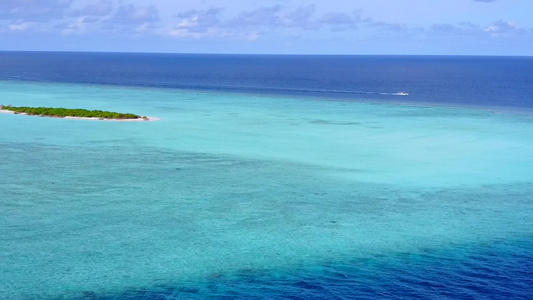 通过蓝海和清洁沙土背景的蓝海对海滩野生生物进行完美视频