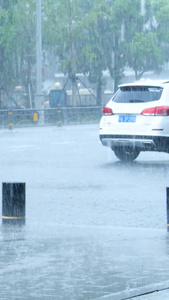 暴雨特大暴雨雨中街道洪涝瓢泼大雨雨中街道视频