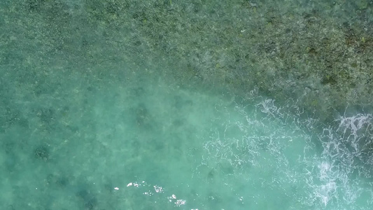 蓝绿海洋和白沙背景的外来旅游海滩野生生物空中无人驾驶视频