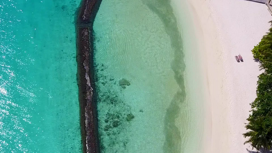 以蓝水和白色沙尘背景放松海岸海滩野生生物的空中无人驾驶视频