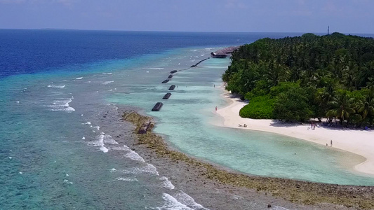 通过白沙背景的清海对宁静海岸海滩野生生物进行风景视频