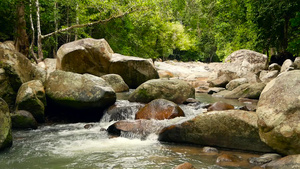 山区河流在雨林中流动无尽的冥想视频在热带异国丛林中13秒视频