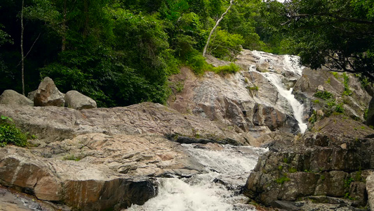 山区河流在雨林中流动无尽的冥想视频在热带异国丛林中视频
