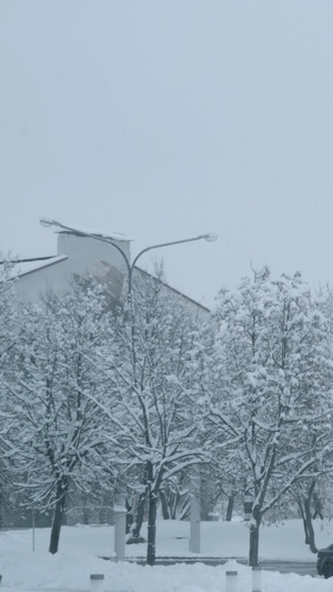 国外寒冬清晨城市道路厚厚的积雪厚厚积雪16秒视频